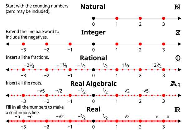 The natural, integer, rational, algebraic, and transcendental numbers shown on lines