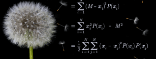 The equations of three alternative variance formulas