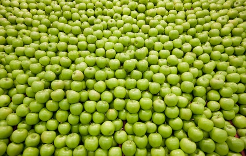 A large pile of thousands of green apples